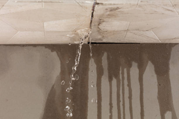 Professional Burst Pipe Cleanup technician working in Ray, MI